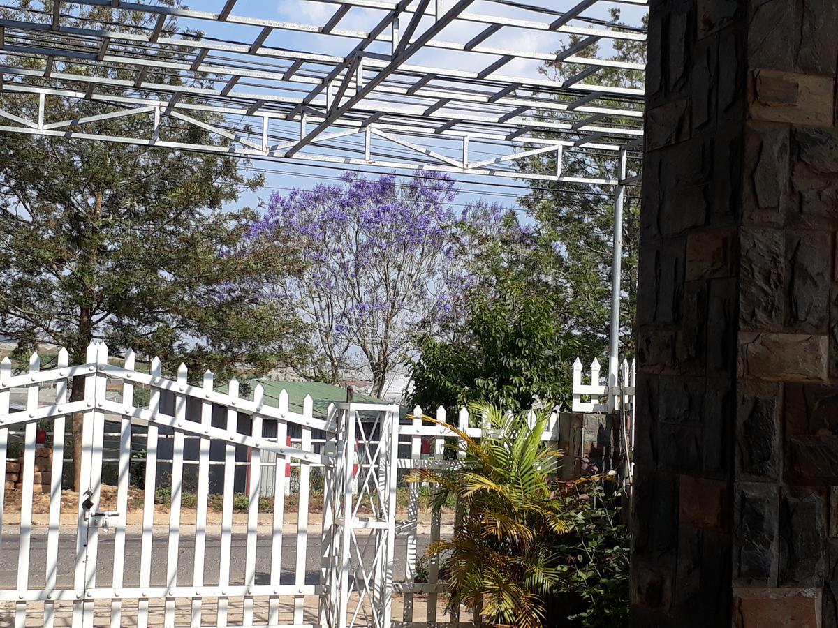 דה לאט 288 Villa מראה חיצוני תמונה