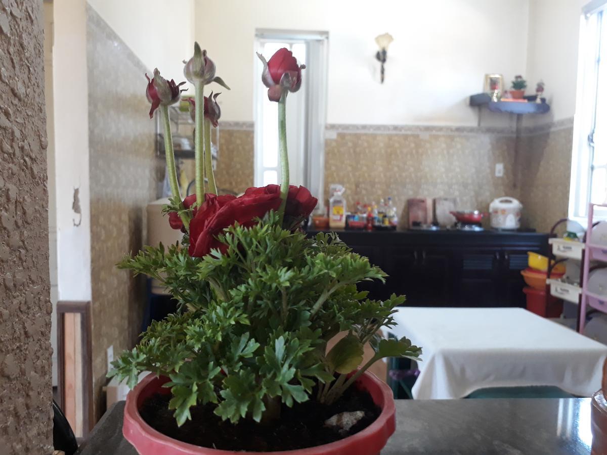 דה לאט 288 Villa מראה חיצוני תמונה