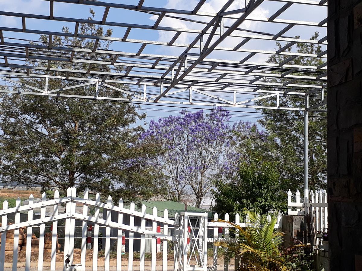 דה לאט 288 Villa מראה חיצוני תמונה